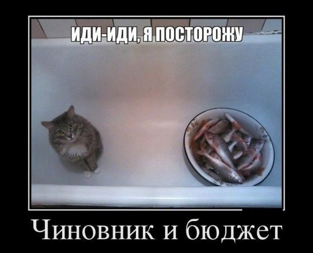 ЧШЮВНИК И бюджет