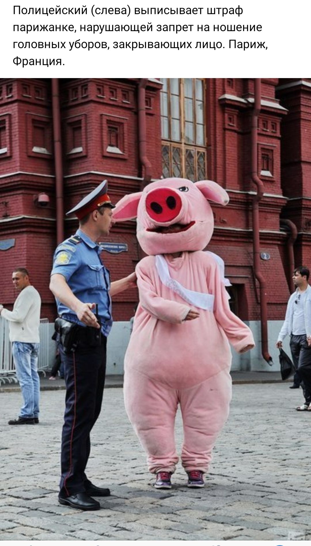 Смешная москва. Свинья на красной площади. Прикольные картинки людей. Приколы с людьми.