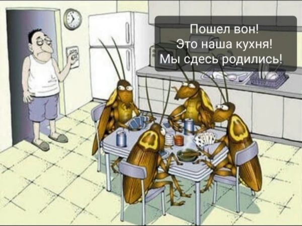 Пошел вон Это наша кухня Мы сдесь родились