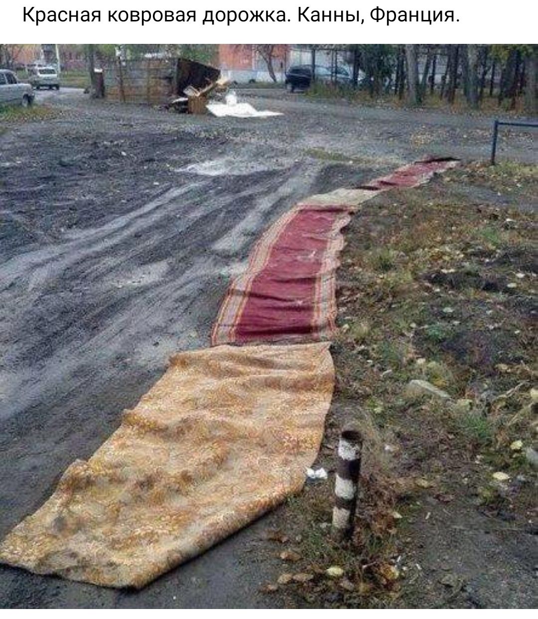 Красная ковровая дорожка Канны Франция