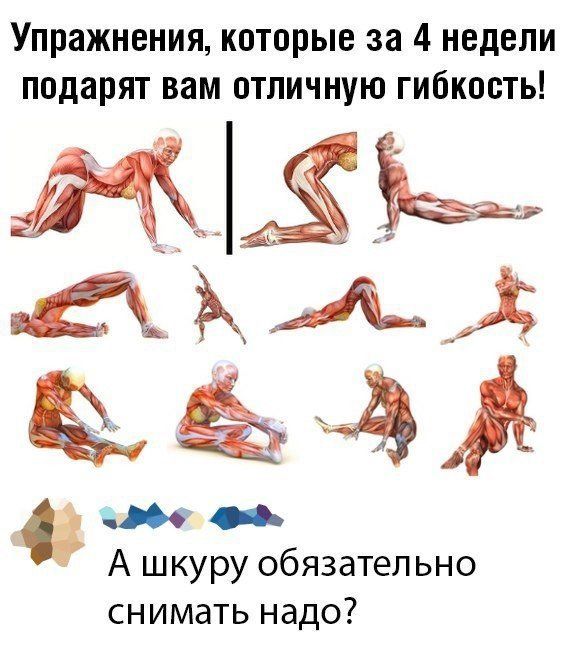 Упражнения которые за 4 недели подарят вам отличную гибкость 360 _ А шкуру обязательно снимать надо