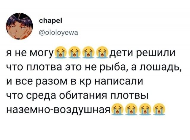 сЬареі оіоіоуеша я не могудддЦдети решили ЧТО ПЛОТВЭ ЭТО не рыба а ЛОШЭДЬ И все разом В кр НдПИСЭЛИ ЧТО среда обитания ПЛОТВЫ наземно воздушнаящщщц