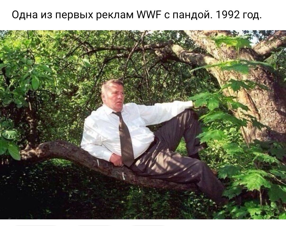 Одна из первых реклам Р с пандой 1992 год