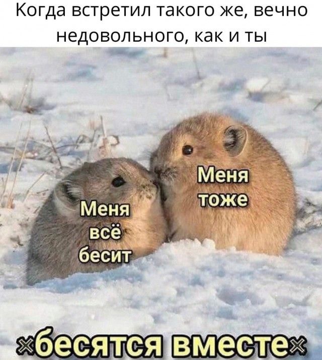 КОГДЭ встретил такого же ВЭЧНО НЕДОВОЛЬНОГО как И ТЫ