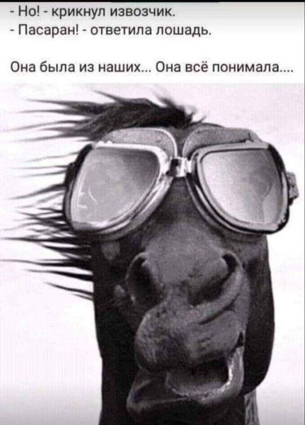 Но крикнул извозчик Пасаран ответила лошадь Она была из наших Она все понимала