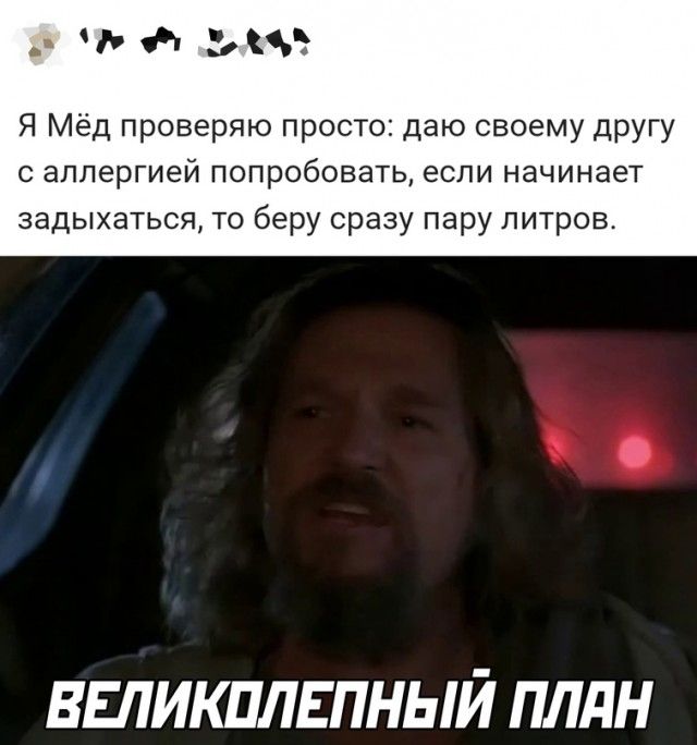 ч мс Я Мёд проверяю просто даю своему другу аллергией попробовать если начинает задыхаться то беру сразу пару литров ВЕЛИКПЛЕПНЫЙ ПЛдН