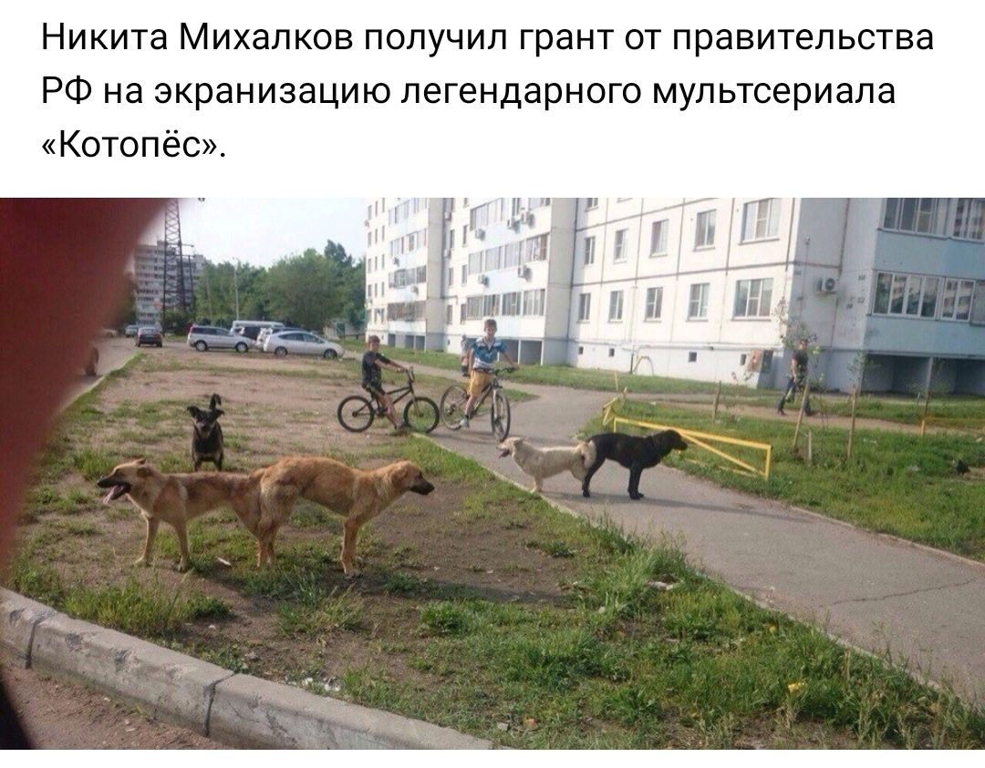 Никита Михалков получил грант от правительства РФ на экранизацию легендарного мультсериала Котопёс