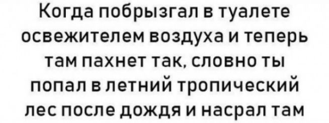 Когда побрызгал в туалете освежителем воздуха и теперь там пахнет так словно ты попал в летний тропический лес после дождя и насрал там