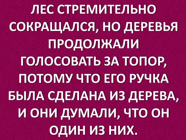 ЛЕС СТРЕМИТЕЛЬНО СОКРАЩАЛСЯ НО ДЕРЕВЬЯ ПРОДОЛЖАЛИ ГОЛОСОВАТЬ ЗА ТОПОР ПОТОМУ ЧТО ЕГО РУЧКА БЫЛА СДЕЛАНА ИЗ дЕРЕВА И ОНИ ДУМАЛИ ЧТО ОН ОДИН ИЗ НИХ