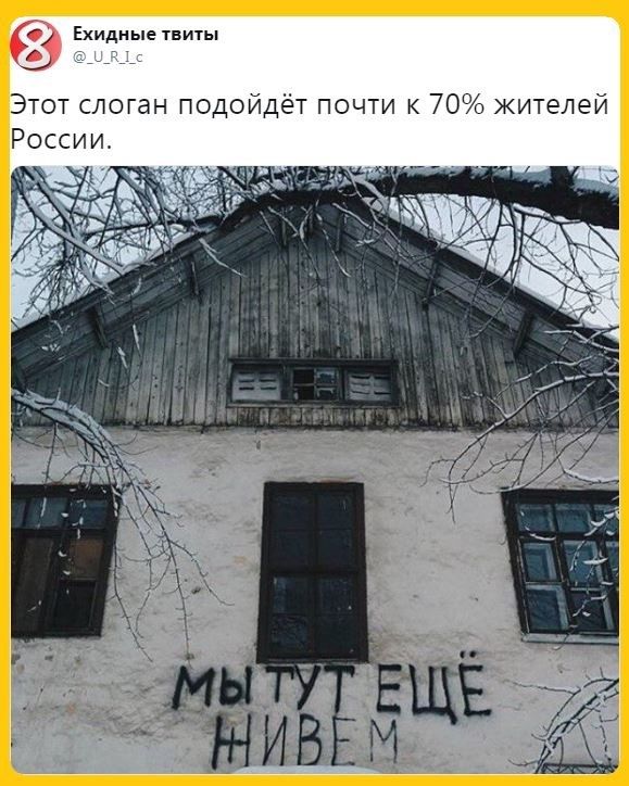 Ехидные тниты Этот слоган подойдёт почти к 70 жителей России