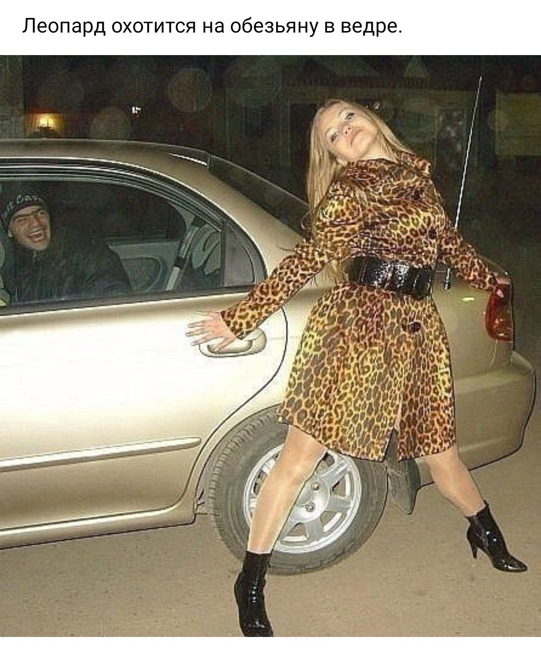 Девушка в леопардовой шубе смешно