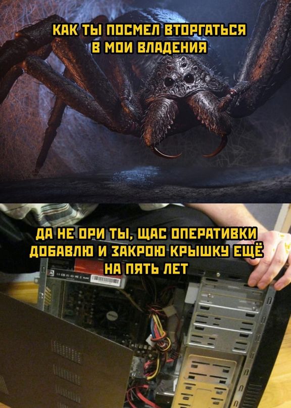 т Ё КПК ТЫ ПППМЕПВТПРГПТЬБЯ 1 ЧЁ МПИ ВЛПДЕНИП Ч Т Ё 1