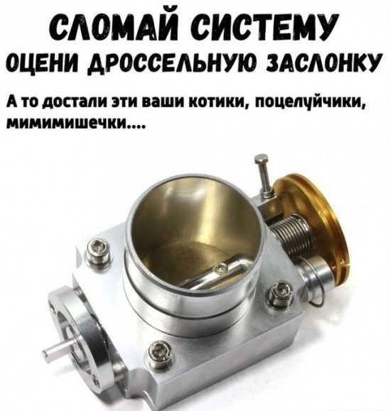 сломдй систему ОЦЕНИ АРОССЕАЬНУЮ ЗАСАОНКУ А то достали эти ваши котики поцелчйчики иииипишечки