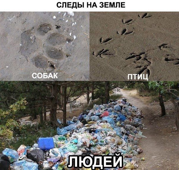 СЛЕДЫ НА ЗЕМЛЕ