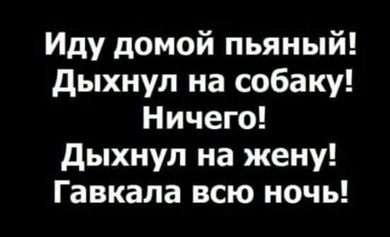 Иду домой пьяный дыхнул на собаку Ничего дыхнул на жену Гавкала всю ночь