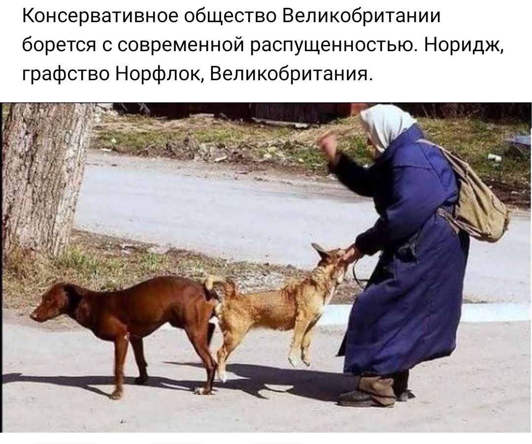 Консервативное общество Великобритании борется с современной распущенностью Норидж графство Норфлок Великобритания