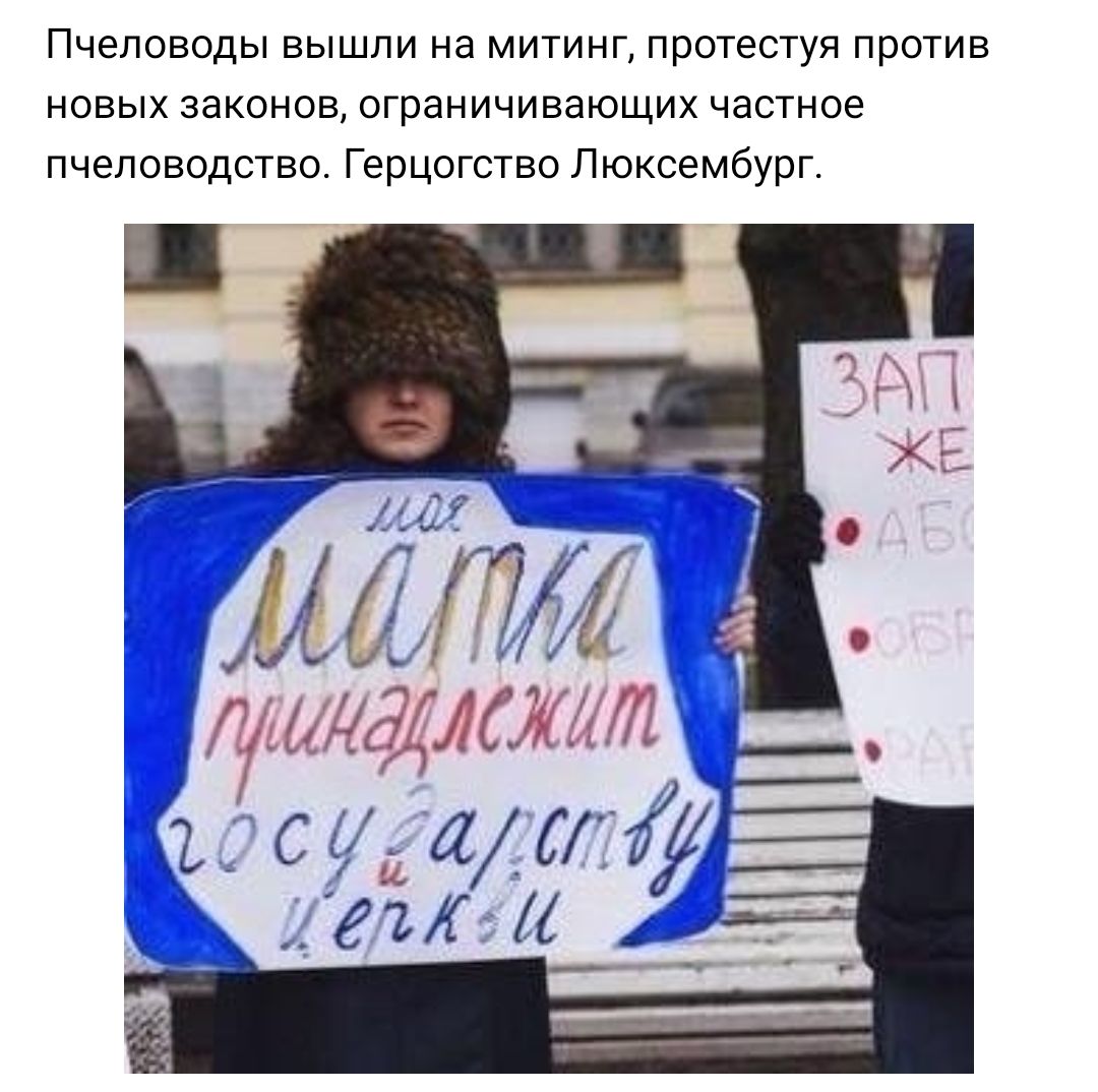 Пчеловоды вышли на митинг протестуя против новых законов ограничивающих частное пчеловодство Герцогство Люксембург