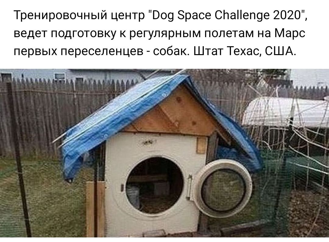Тренировочный центр 009 Зрасе СЬаеп9е 2020 ведет подготовку к регулярным полетам на Марс первых переселенцев собак Штат Техас США