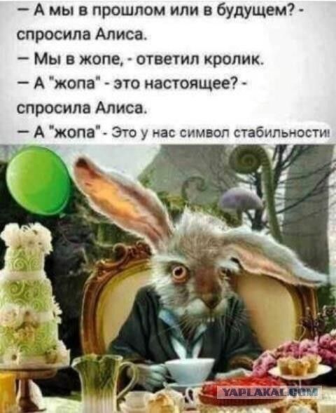 А мы в прошлом или в будущем спросила Алиса Мы в жопе ответил кролик А жопа это настоящее спросила Алиса А жопа Это у нас символ стабипьиостш