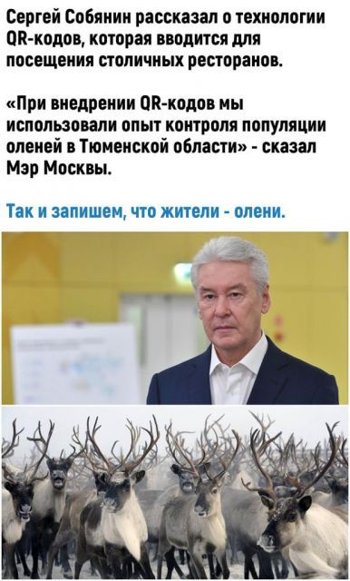 Сергей Собянин рассказал о технологии ПБКкодов которая вводится для посещения ПОПИЧИЫХ РЕСТПРЗИОБ При внедрении ОП кодов мы использовали опыт контроля популяции оленей в Тюменской области сказал Мэр Москвы Так И ЗЗПИШЕ ЧТО ЖИТЕЛИ ВЛЕИИ 593