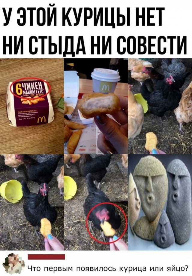 У ЭТОЙ КУРИЦЫ НЕТ НИ СТЫДА НИ РСОВЕСТИ иьиішёш _ 2 Р А Что первым появилось курица или яицо