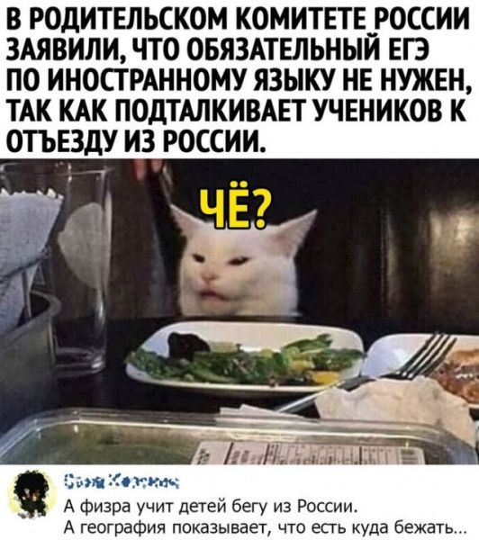 В РОДИТЕЛЬСКОМ КОМИТЕТЕ __РОССИИ ЗАЯВИЛИ ЧТО ОБЯЗАТЕЛЬНЫЙ ЕГЭ ПО ИНОСТРАННОМУ ЯЗЫКУ НЕ НУЖЕН ТАК КАК ПОДТАЛКИВАЕТ УЧЕНИКОВ К ОТЪЕЗДУ ИЗ РОССИИ А физра учит детей бегу из России А география показывает что есть куда бежать