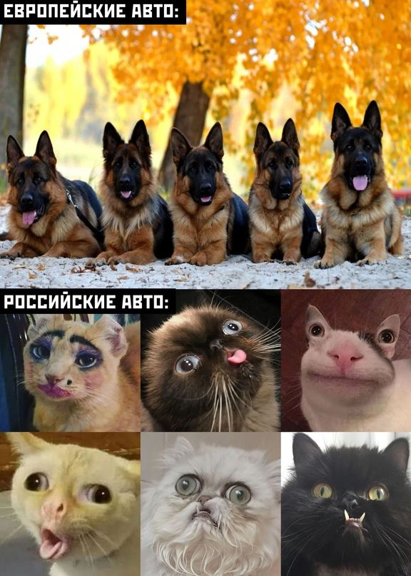 РПРЕИЙЕКИЕ ЛЕТ