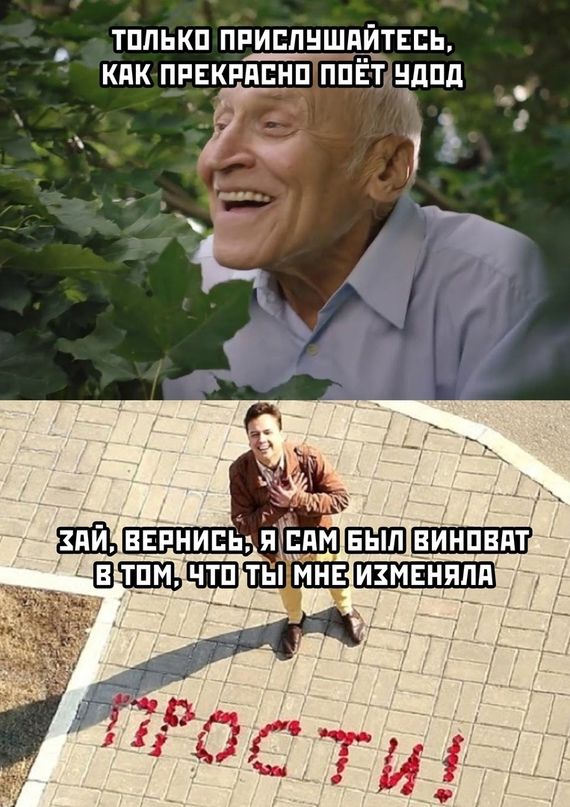 тппькп приппншцуЁпЕпь кпк пивкпдпнп ппвт ндпд 5 Л_у
