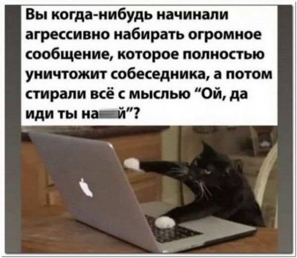 Вы когда нибудь начинали агрессивно набирать огромное сообщение которое полностью уничтожит собеседника а потом стирали всё с мыслью Ой да иди ты на й