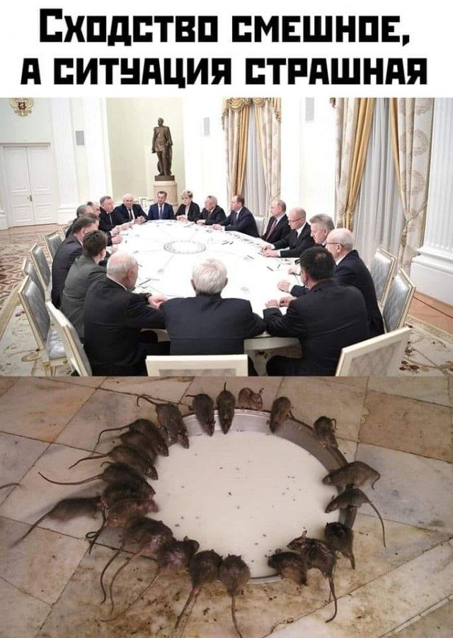 ПХПдБТВП ЕМЕШНПЕ д ПИТНПЦИП ПТРПШНПЯ тнг Еги