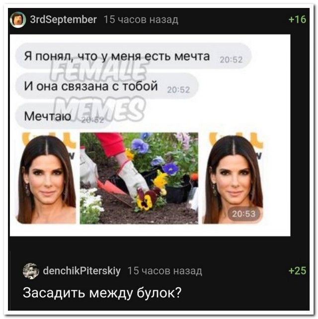 ЗгЫЗеріетЬег Г я понял что у меня есть мечта И она связана с тобой Мечтаю 2 епоЬіКРііегэКіу 1 Засадить между булок