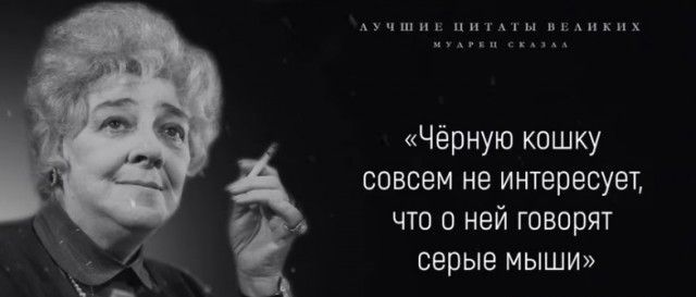 ними или Чёрную кошку СОВСЕМ не ИНТЕОЕСУЭТ ЧТО О Ней Говорят серые МЫШИ