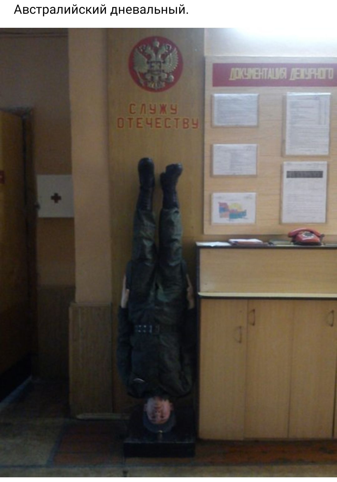 Австралийский дневальный