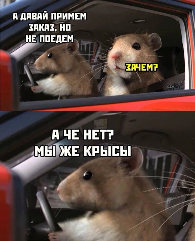 1 д ЧЕ НЕТ ЖЖЫШ