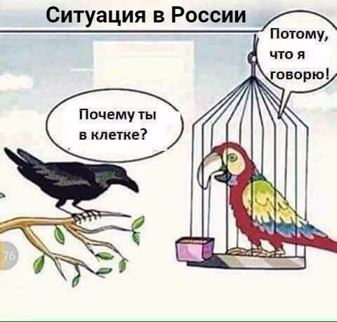 Ситуация в россии   потому, а ояя