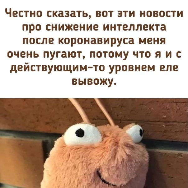 ЧВСТНО сказать ВОТ ЭТИ НОВОСТИ про снижение интеллекта после коронавируса меня очень пугают потому что я и с действующим то уровнем еле вывожу