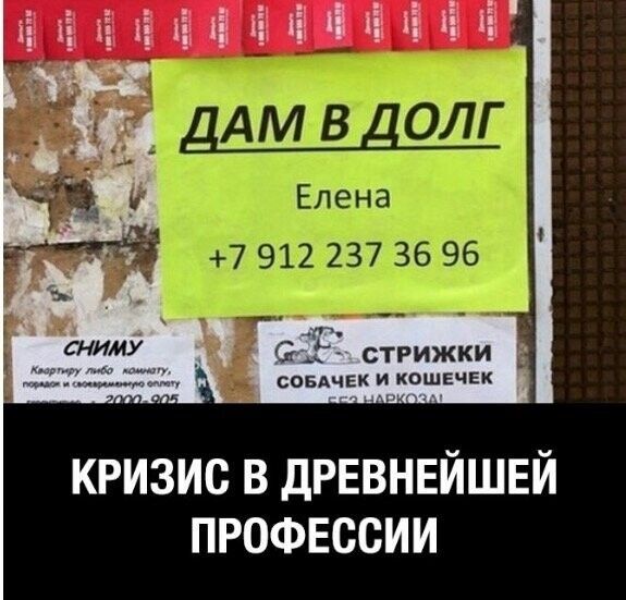 1 1 іі іі ХЁ ЁЁ Сші стрижки совдчвк и кошечек КРИЗИС В ДРЕВНЕЙШЕЙ ПРОФЕССИИ