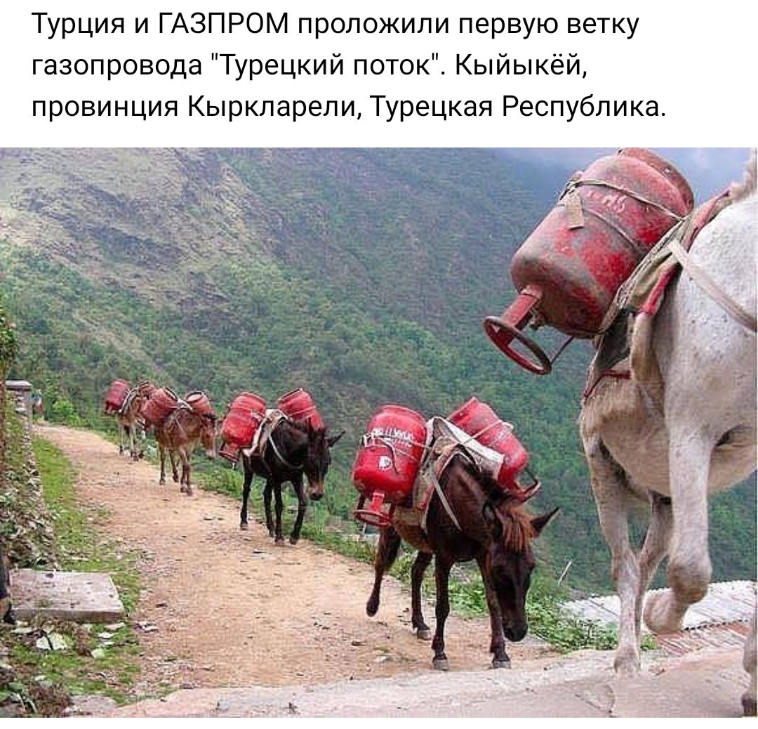 Турция и ГАЗПРОМ проложили первую ветку газопровода Турецкий поток Кыйыкёй провинция Кыркларели Турецкая Республика
