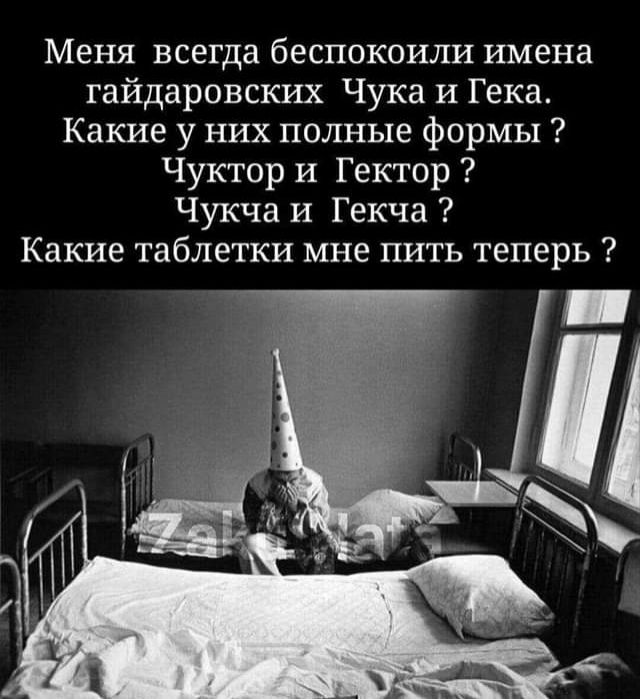 Меня всегда беспокоили имена гайдаровских Чука И Гека Какие у них полные формы Чуктор и Гектор Чукча И Гекча Какие таблетки мне пить теперь