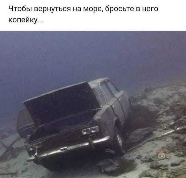 Чтобы вернуться на море бросьте в не копейку