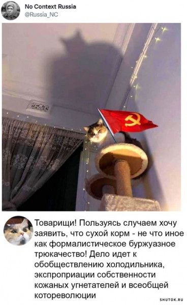 самец так у М Товарищи пользуясь случаем хочу заявить что сухой корм не что иное как фсрмапистическое буржуазное трюкачестно дело идет обобщесгвпению холодильника экспроприации собственности кожаных угнетатепгй и всеобщей которевопюции