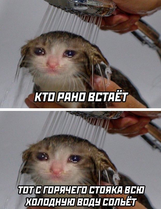 хплпднншэвпдьі Ейльёт