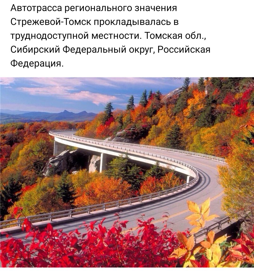 Автотрасса регионального значения Стрежевой Томск прокладывалась в труднодоступной местности Томская обл Сибирский Федеральный округ Российская Федерация