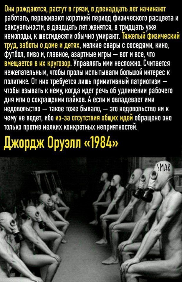 Они рождаются растут в грязи в двенадцать лет начинают работаты переживают короткий период физического расцвета и сексуальности в двадцать лет женятся в тридцать уже иеиолоды к шестидесяти обычно умирают Тяжелый физический тРУд заботы о доме и детях мелкие свары с соседями кино футбол пиво и главное азартные игры вот и все что вмещается в их кругозор Управлять иии несложно Считается нежелательным 
