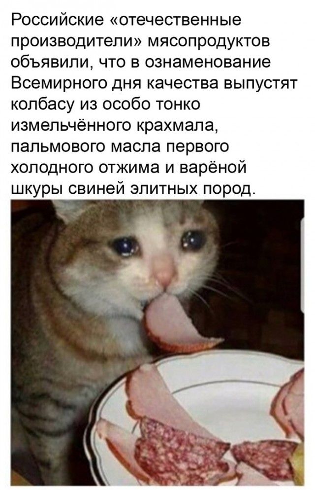 Российские отечественные производители мясопродуктов объявили что в ознаменование Всемирного дня качества выпустят колбасу из особо тонко измельчённого крахмала пальмового масла первого холодного отжима и варёной шкуры свиней элитных пород