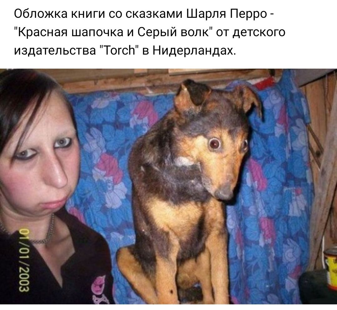 ОбложкакнигисосказкамиМарляГюрро Красная шапочка и Серый волк от детского издательстваТОгсЬв4идерландах О 10 9002