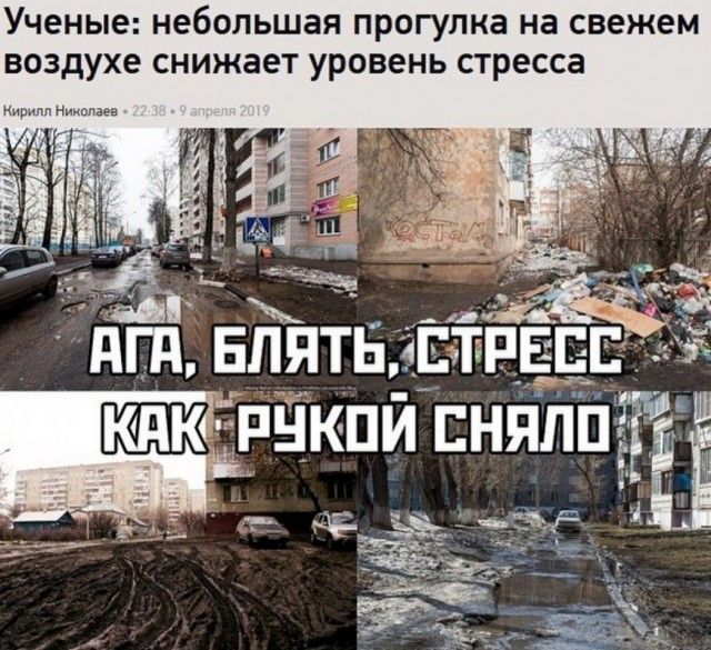 Ученые небольшая прогулка на свежем воздухе снижает уровень стресса
