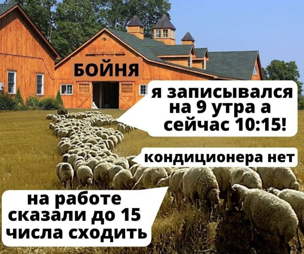 на 9 утра а сейчас 1015 на работе сказали до 15 числа сходить і