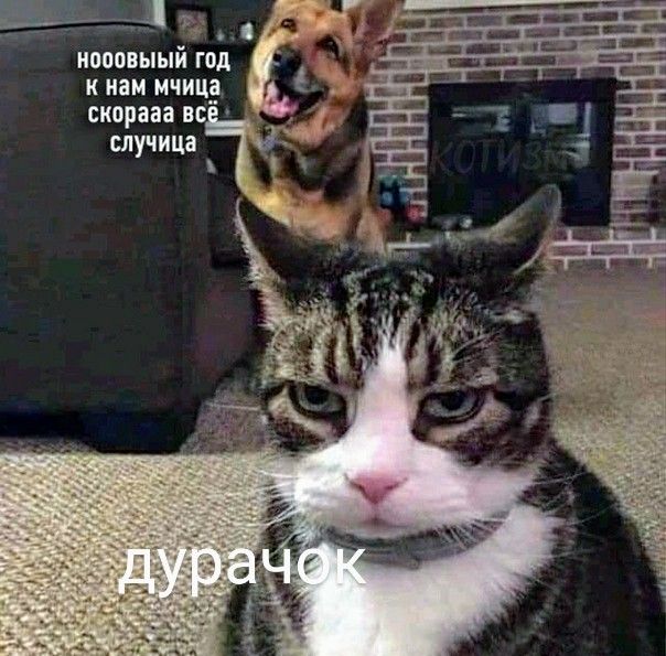 нооовыый год к нам мчица скорааа вс _ _ случица д
