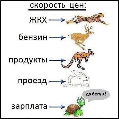 СКОЕОСТЬ БЕН жкх _ бензинУ ЗЗРПЛЗТЭ